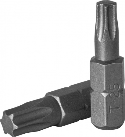 JONNESWAY Вставка-бита 10 мм DR TORX®, Т55, 30 мм