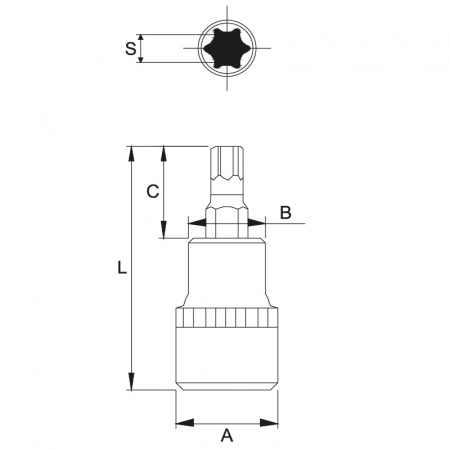 JTC Бита-головка 3/8" TORX T25х48 мм 